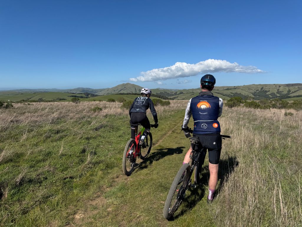 two cyclists looking at view of tomaes bay