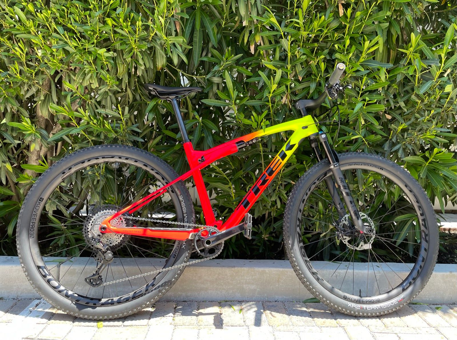 mountain bike in front of hedges