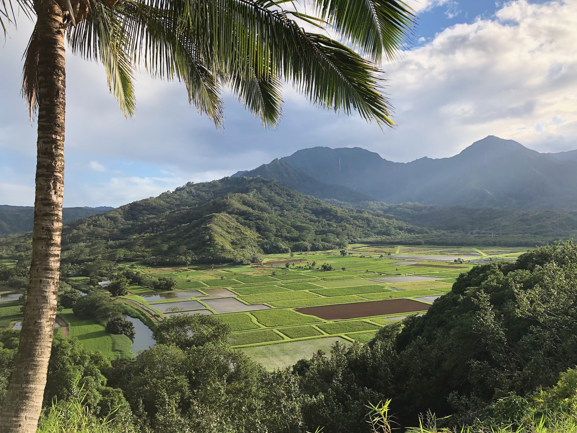 overlooking hanalie valley