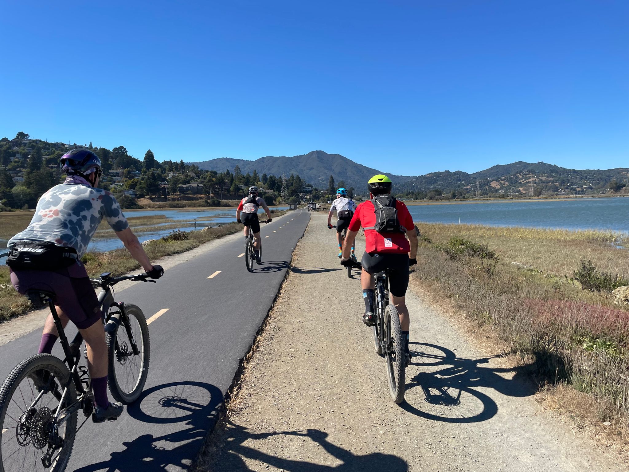 4 bikers on path between marsh