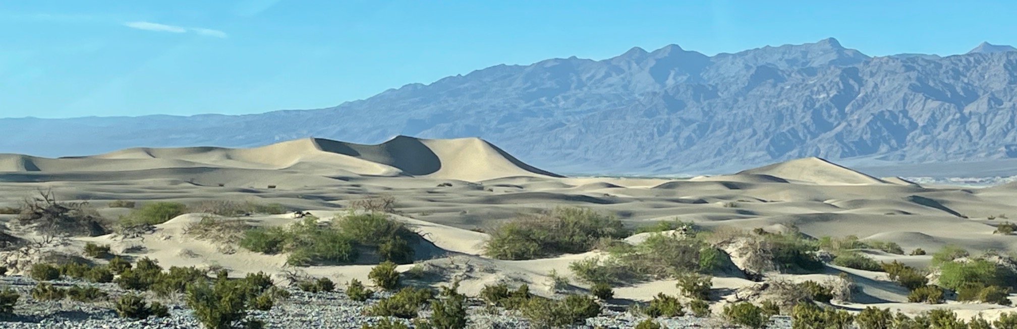 sand dunes in front of larger mountain range